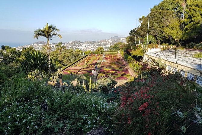 Private Halfday Madeira Garden Tour - A short stop at Nossa Senhora do Monte Church