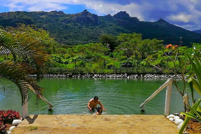 Private Tour: Hot spings & Sleeping Giant Garden hiking Adventure - Why this private Nadi tour works well