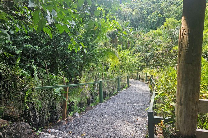 Private Tour: Hot spings & Sleeping Giant Garden hiking Adventure - A fruit drink, a market, and the shape of the day