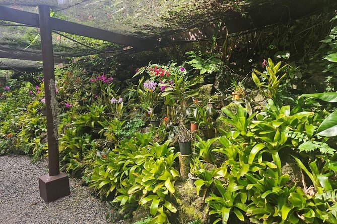 Private Tour: Hot spings & Sleeping Giant Garden hiking Adventure - Private transport makes a real difference