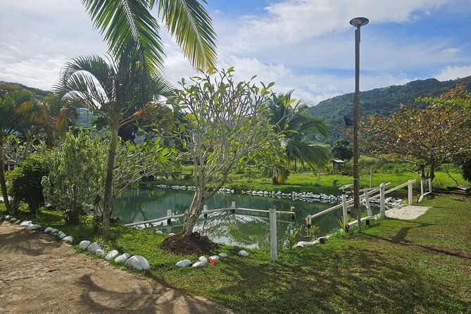Private Tour: Hot spings & Sleeping Giant Garden hiking Adventure - Is $82.31 per person fair?