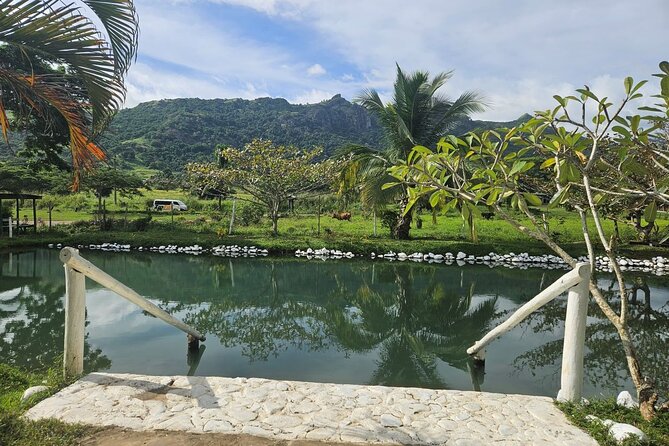 Private Tour: Hot spings & Sleeping Giant Garden hiking Adventure - Who will enjoy this outing most?