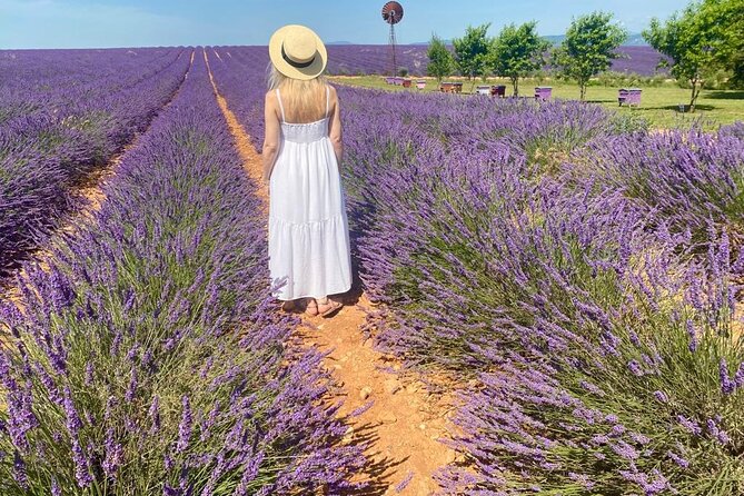 Provence Lavender Fields Tour from Aix-en-Provence - Valensole from June 10 to July 15