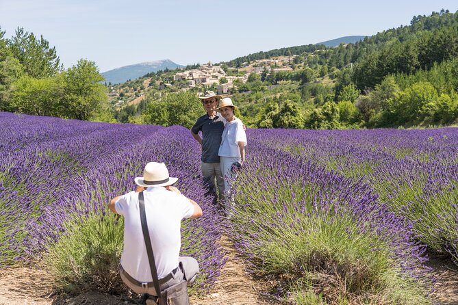 Provence Lavender Full Day Tour from Avignon - Key points at a glance