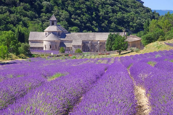 Provence Lavender Full Day Tour from Avignon - Three hours around the Luberon