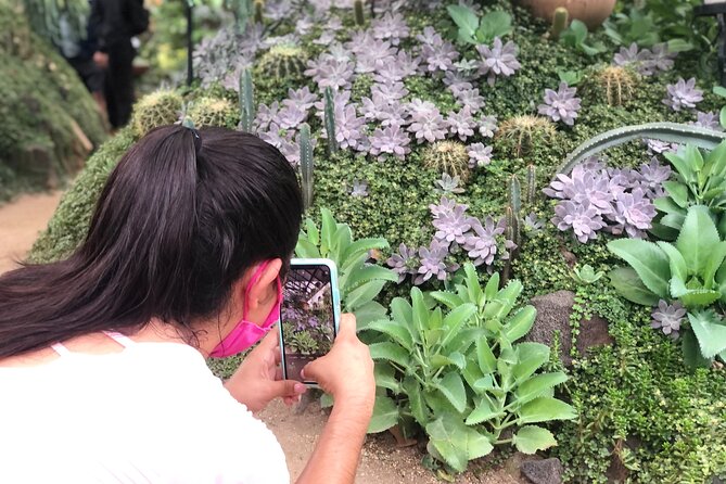 Puerto Vallarta Botanical Gardens Hiking Tour - Rescued animals add a family-friendly stop