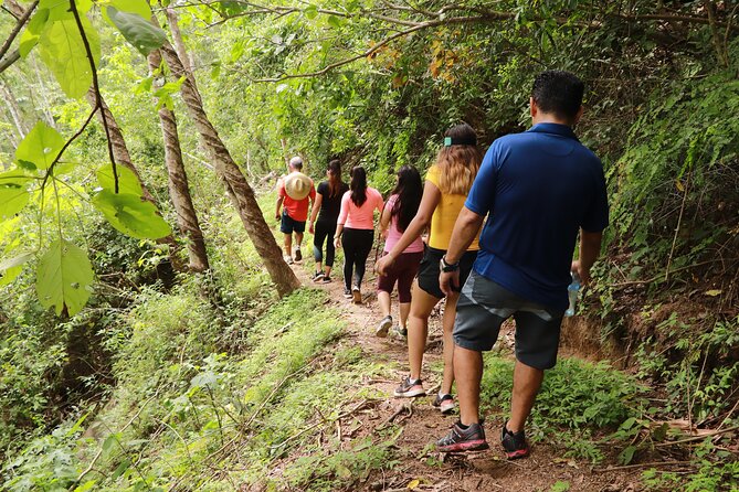 Puerto Vallarta Botanical Gardens Hiking Tour - Tequila tasting, lunch, and extra costs