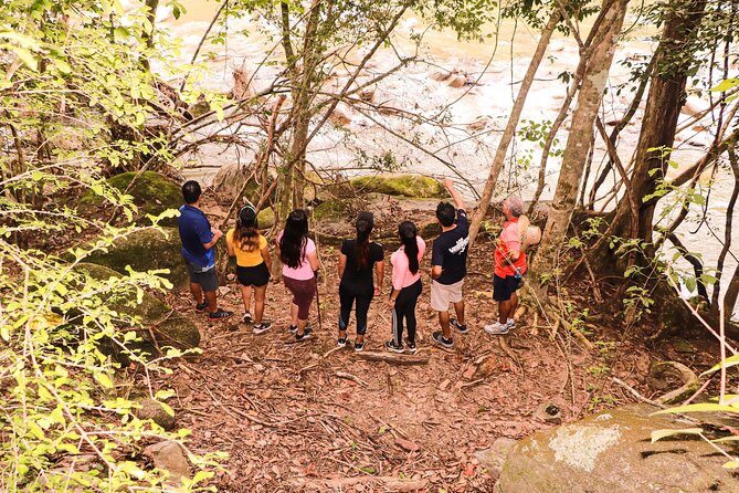 Puerto Vallarta Botanical Gardens Hiking Tour - Meeting point and timing matter