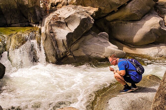 Puerto Vallarta Botanical Gardens Hiking Tour - Should you book it?
