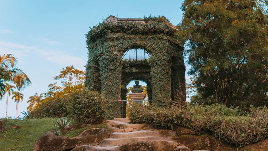 Rio de Janeiro: 4-Hour Botanical Garden & Tijuca Forest Tour - From city garden to Tijuca National Forest