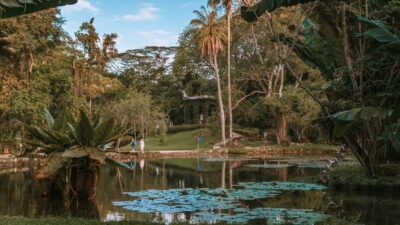 Rio de Janeiro: 4-Hour Botanical Garden & Tijuca Forest Tour