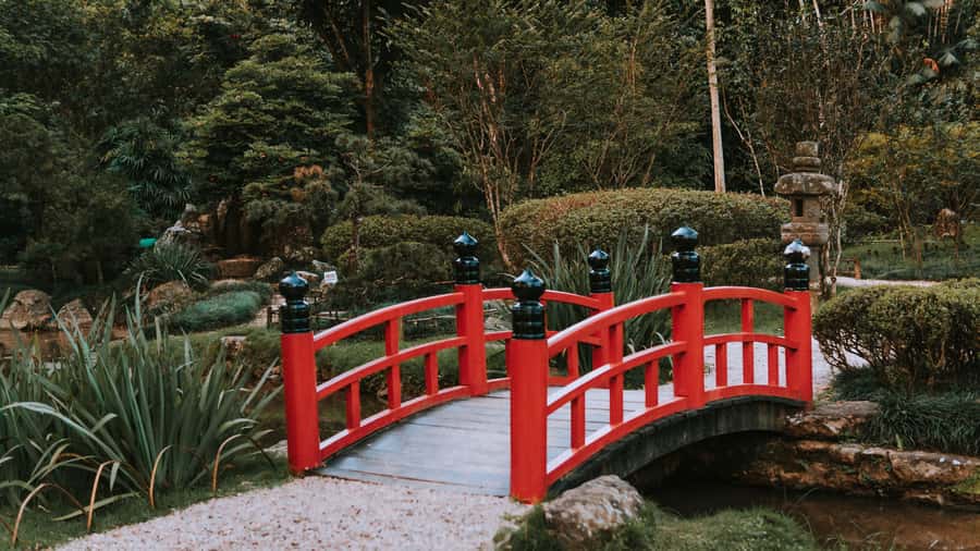 Rio de Janeiro: 4-Hour Botanical Garden & Tijuca Forest Tour - What the $51 price includes