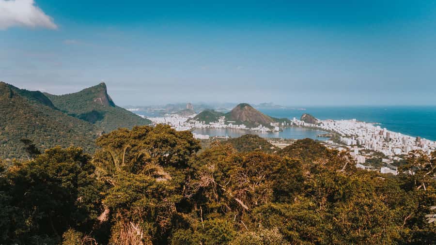 Rio de Janeiro: 4-Hour Botanical Garden & Tijuca Forest Tour - Who should book this experience?