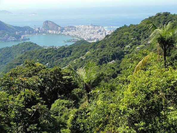 Rio de Janeiro Botanical Garden & Tijuca Forest Tour - Key things to know before booking