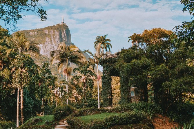 Rio de Janeiro Botanical Garden & Tijuca Forest Tour - Why this half-day works in Rio
