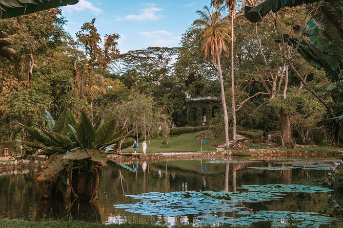 Rio de Janeiro Botanical Garden & Tijuca Forest Tour - The Botanical Garden: the strongest part of the afternoon
