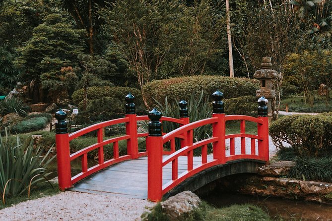 Rio de Janeiro Botanical Garden & Tijuca Forest Tour - Vista Chinesa and the changing route