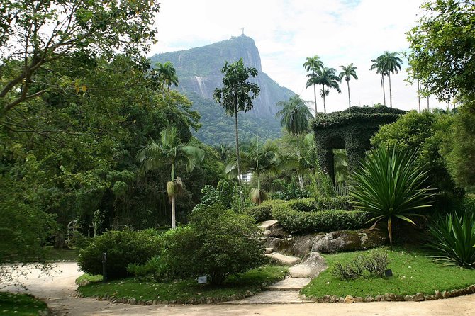 Rio de Janeiro Botanical Garden Tour - Why this garden deserves a place in your Rio plans