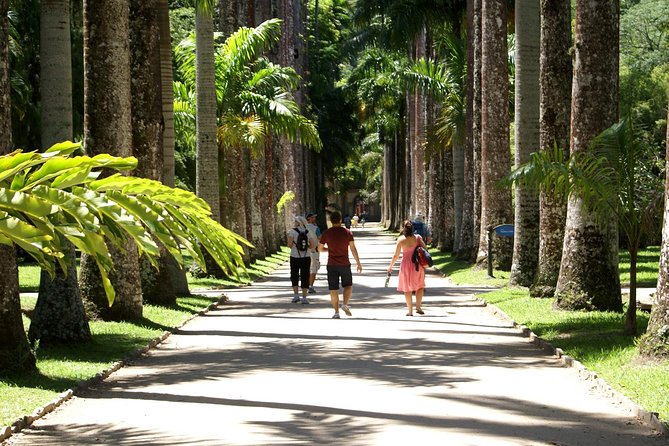 Rio de Janeiro Botanical Garden Tour - Is $81.35 a fair price?