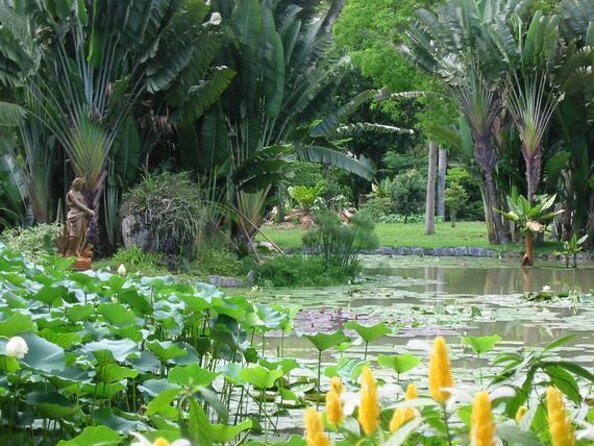 Rio de Janeiro Botanical Garden Tour - From your hotel to the foot of Corcovado