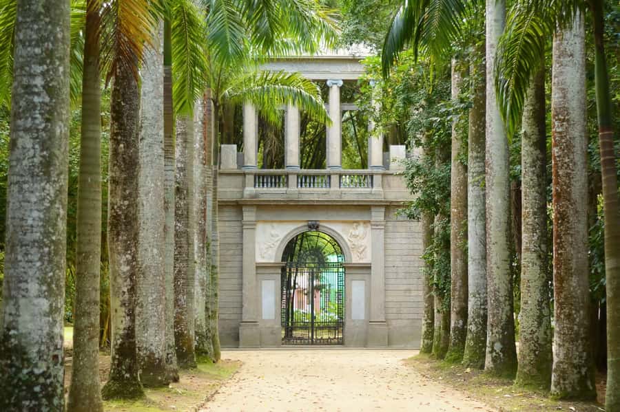 Rio de Janeiro: Tijuca National Park & Botanic Garden Tour - From Rio streets to Tijuca rainforest