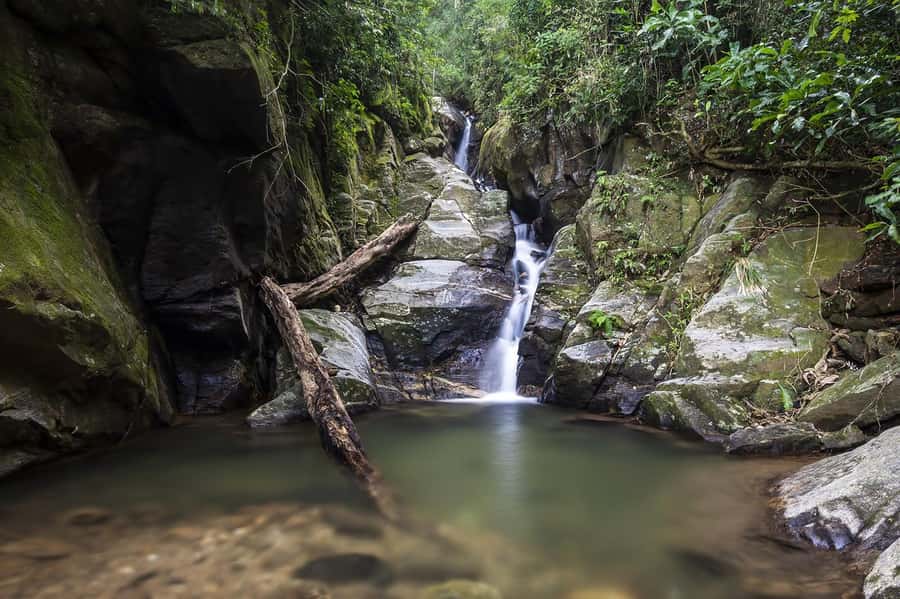 Rio de Janeiro: Tijuca National Park & Botanic Garden Tour - Why Tijuca National Park matters
