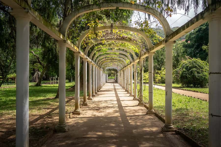 Rio de Janeiro: Tijuca National Park & Botanic Garden Tour - Taunay Waterfall and Mayrink Chapel