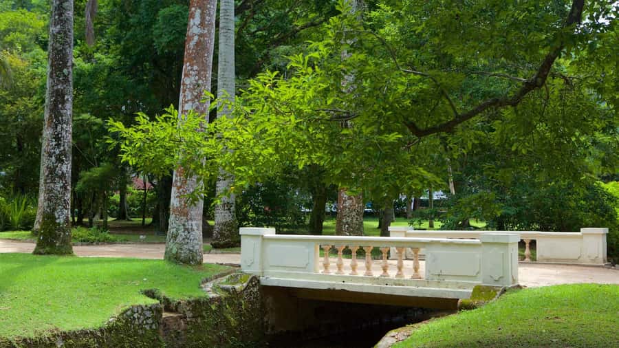 Rio de Janeiro: Tijuca National Park & Botanic Garden Tour - Park closures and weather changes