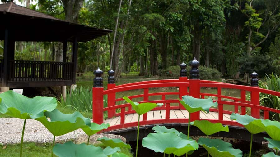 Rio de Janeiro: Tijuca National Park & Botanic Garden Tour - Who should book this Rio nature tour