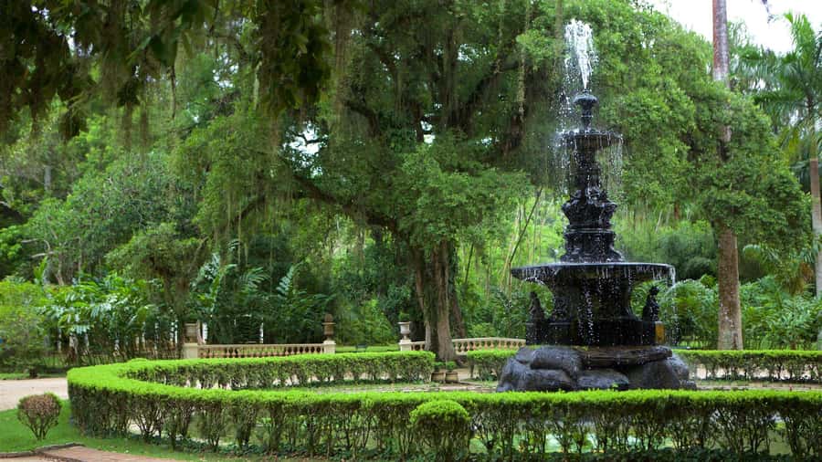 Rio de Janeiro: Tijuca National Park & Botanic Garden Tour - Should you book it?