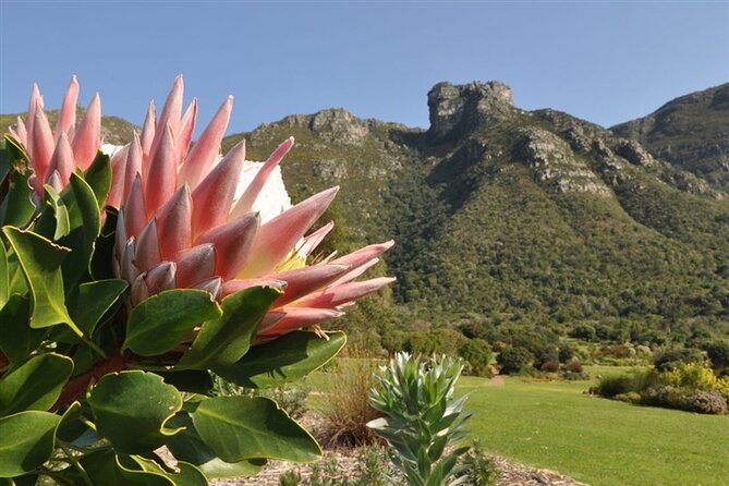 Robben Island ,Kirstenbosch Gardens and Groot Constantia. - The price pays for convenience, not every activity