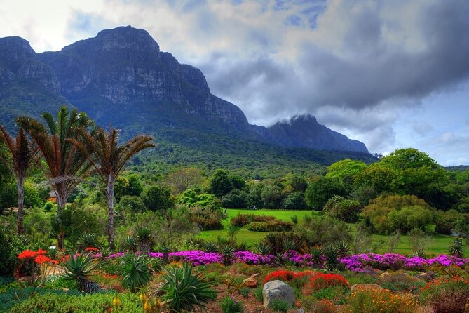Robben Island ,Kirstenbosch Gardens and Groot Constantia. - Should you book Robben Island, Kirstenbosch, and Groot Constantia?