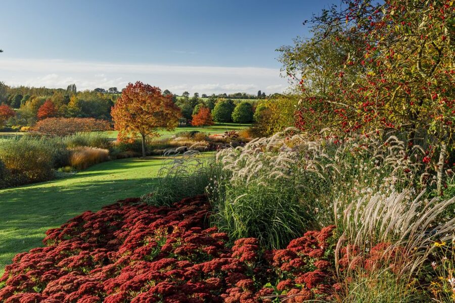 Royal Horticultural Society: Hyde Hall Garden Ticket - The Rose Garden and Rope Rose Walk