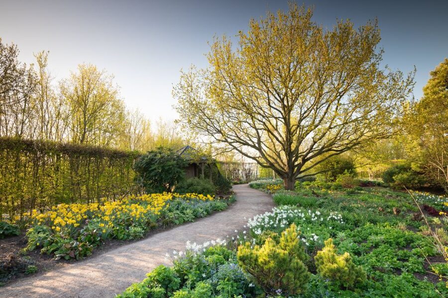 Royal Horticultural Society: Hyde Hall Garden Ticket - Winter Garden, Birch Grove, and the upper garden