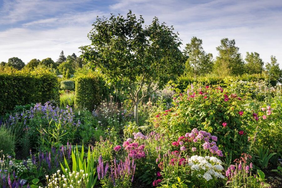 Royal Horticultural Society: Hyde Hall Garden Ticket - The Global Growth Vegetable Garden