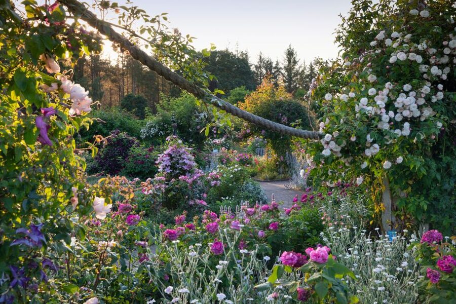 Royal Horticultural Society: Rosemoor Garden Ticket - Who will get the most from Rosemoor