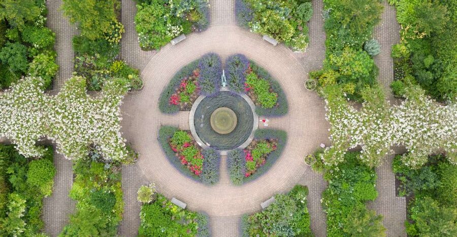Royal Horticultural Society: Rosemoor Garden Ticket - Starting among Rosemoor’s 250 rose varieties