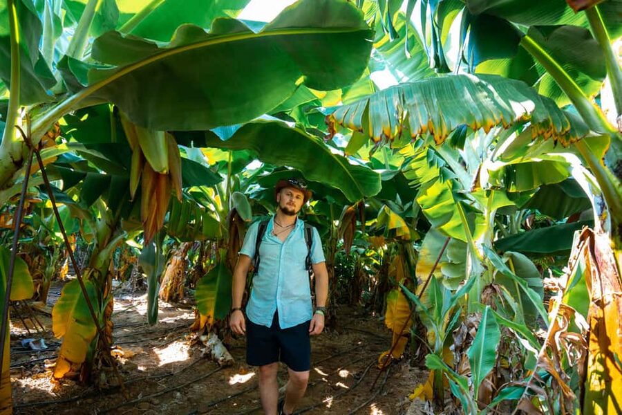 Sapadere Tour with Dimçay Lunch, Cave, Tropical Fruit Garden - What the $22 price really includes