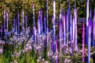 Chihuly Garden and Glass Entry Ticket