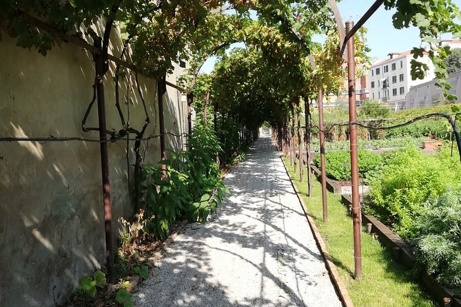 Secret Gardens of Venice Walking Tour - Giardino delle Vergini and the Arsenale walls