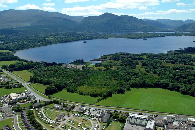 Self-Guided Bike Tour of Killarney National Park, Muckross Gardens & Waterfall - Muckross Abbey and its remarkable tree