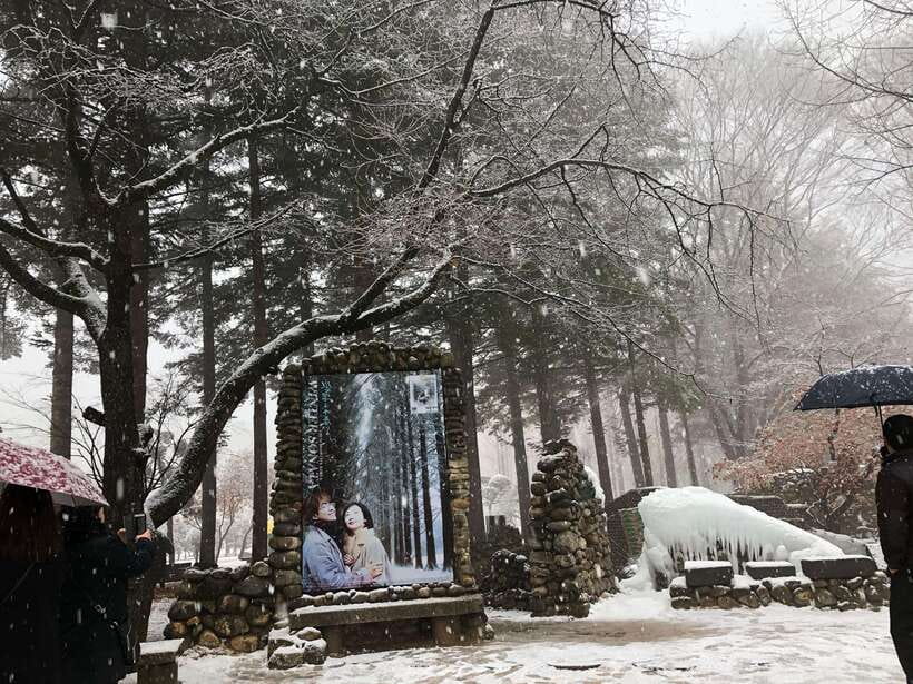 Seoul: Alpaca, Nami, Morning Calm or Eobi (+Rail Bike) - Eobi Ice Valley from mid-December through February