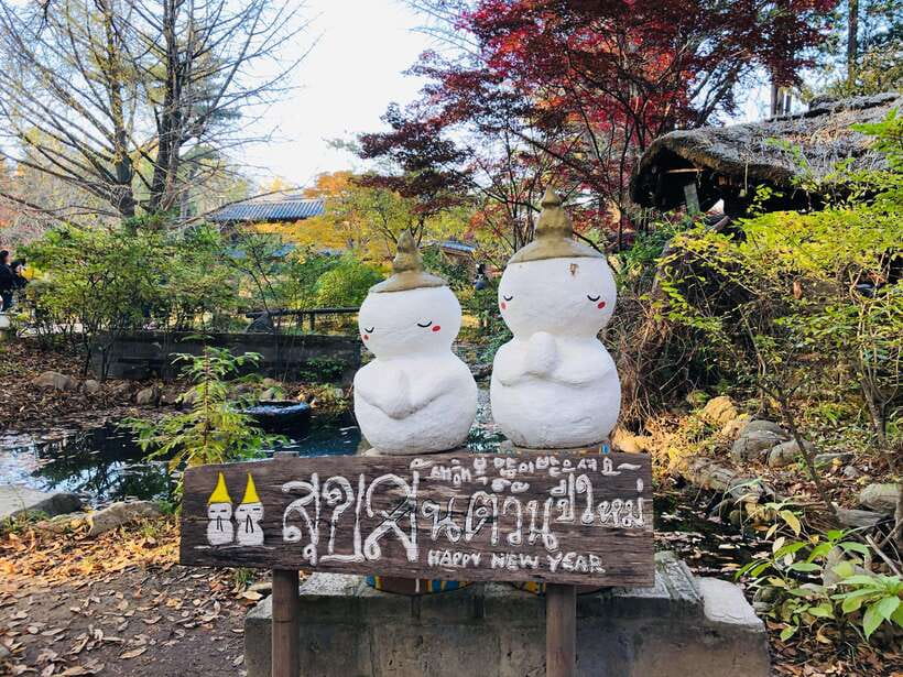 Seoul: Alpaca, Nami, Morning Calm or Eobi (+Rail Bike) - Food, costs, and what the $90 covers