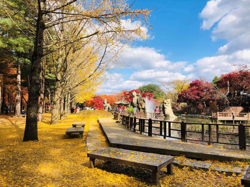 Seoul: Mt.Seorak, Nami Island & Korean Garden, No Shopping - Who should book this experience?
