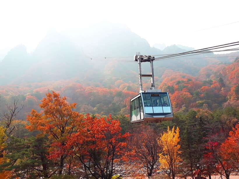 Seoul: Mt.Seorak, Nami Island & Korean Garden, No Shopping - Why this day trip works for Seoul visitors