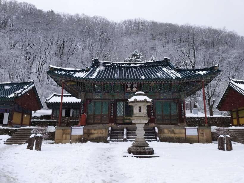 Seoul: Mt.Seorak, Nami Island & Korean Garden, No Shopping - The long ride between the mountain and Nami Island