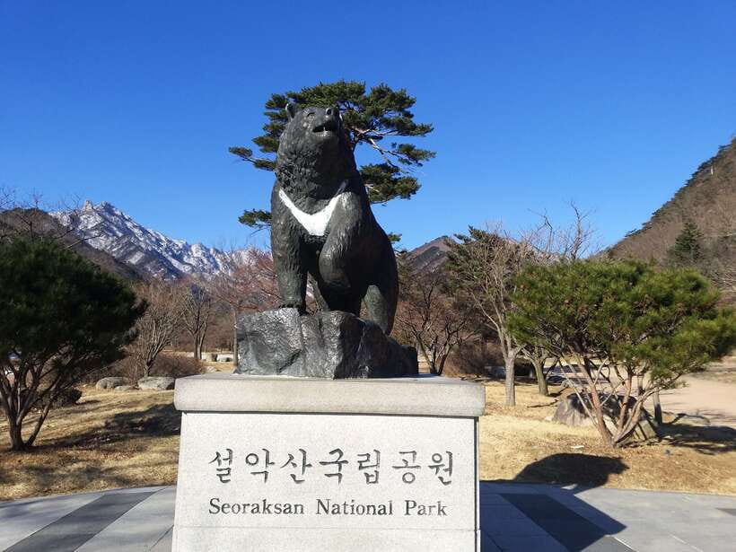 Seoul: Mt.Seorak, Nami Island & Korean Garden, No Shopping - Seoraksan: the strongest part of the day
