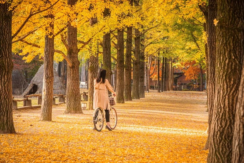 Seoul: Nami Island and Garden of Morning Calm opt Railbike - Garden of Morning Calm: flowers, paths, and changing seasons