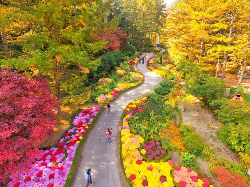 Seoul: Nami Island and Garden of Morning Calm opt Railbike - Gangchon Railbike: the most playful part of the day