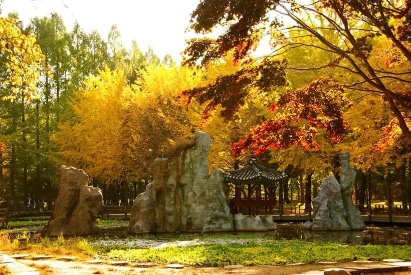 Seoul: Nami Island and Garden of Morning Calm opt Railbike - Food, comfort, and practical details